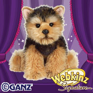 Trading Cards Webkinz Signature Short Haired Yorkie NWT sealed code tag 