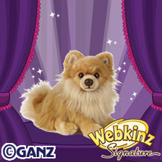 Signature Pomeranian | WKN: Webkinz Newz