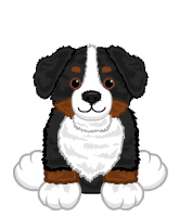 webkinz signature bernese mountain dog