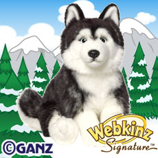 webkinz signature husky