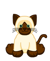 webkinz siamese cat