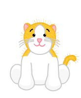 webkinz gold and white cat