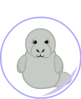 Webkinz manatee store