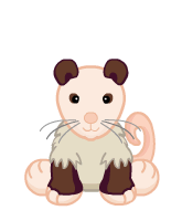 opossum webkinz