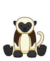 Webkinz Sifaka Lemur for sale online 